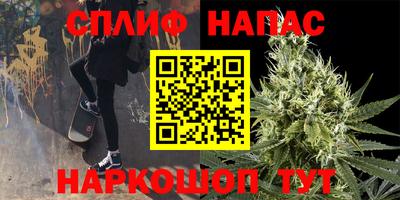 индика Заволжье