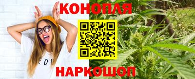 индика Заволжье
